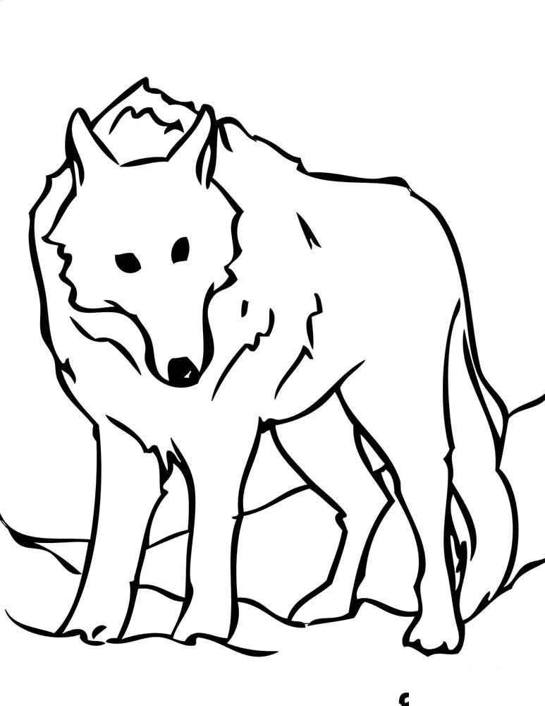Волк Рисунок раскраска на зимнюю тему