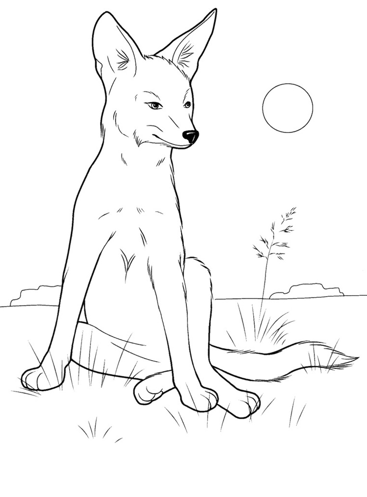 Волк Зимние раскраски для мальчиков