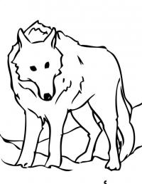 Волк Раскраски про зиму для детей