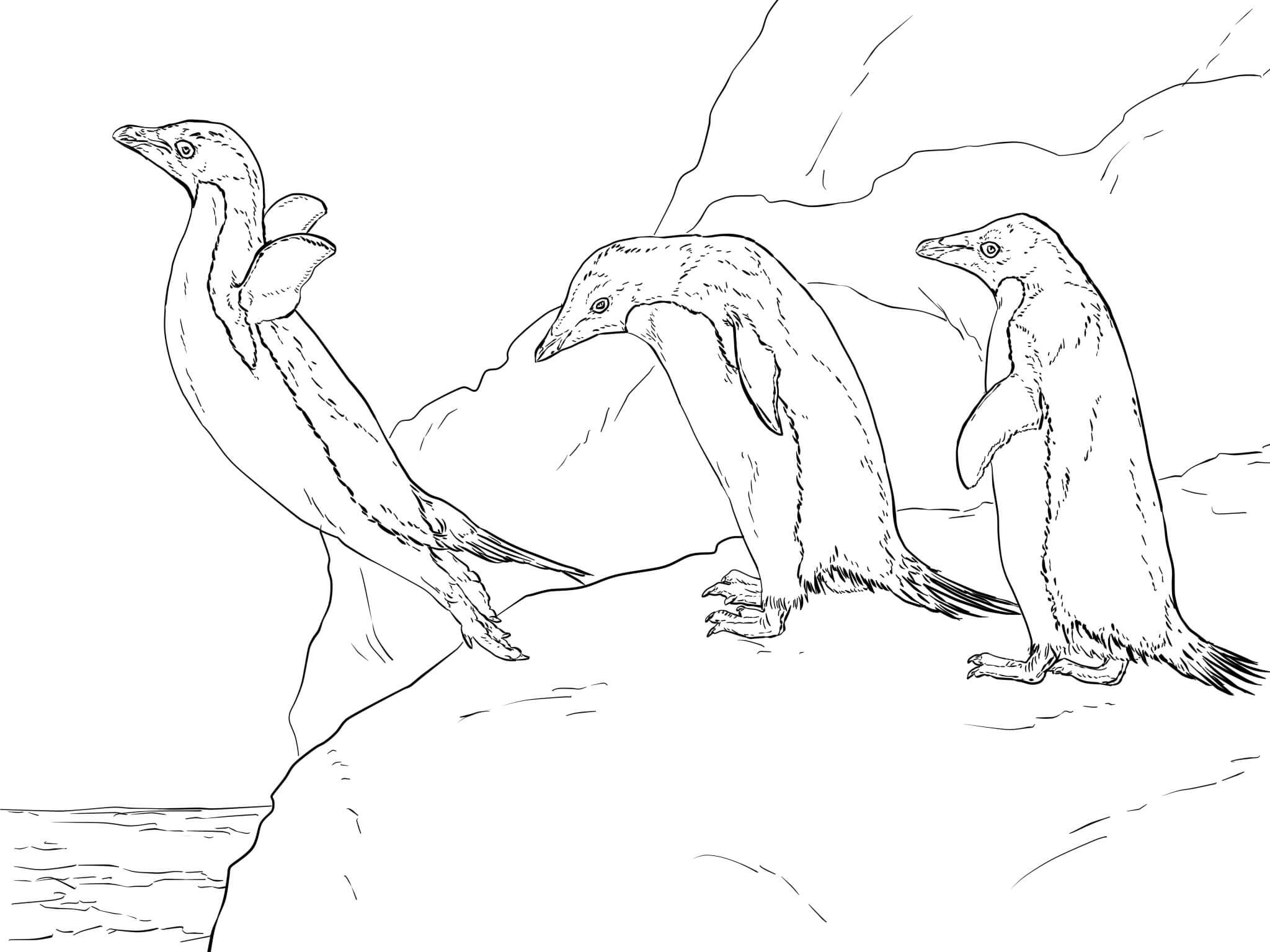 Северный Раскраски зимушка зима