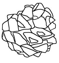 картинки на рабочий стол онлайн Трафарет шишки Зимние раскраски для девочек