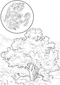 Шишки кедровые Зимние раскраски для девочек